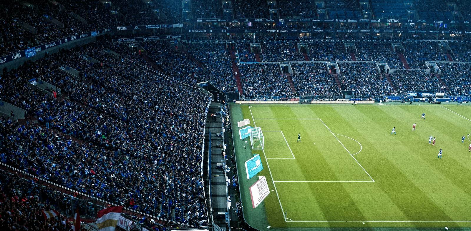BTI体育 阅读体验配图